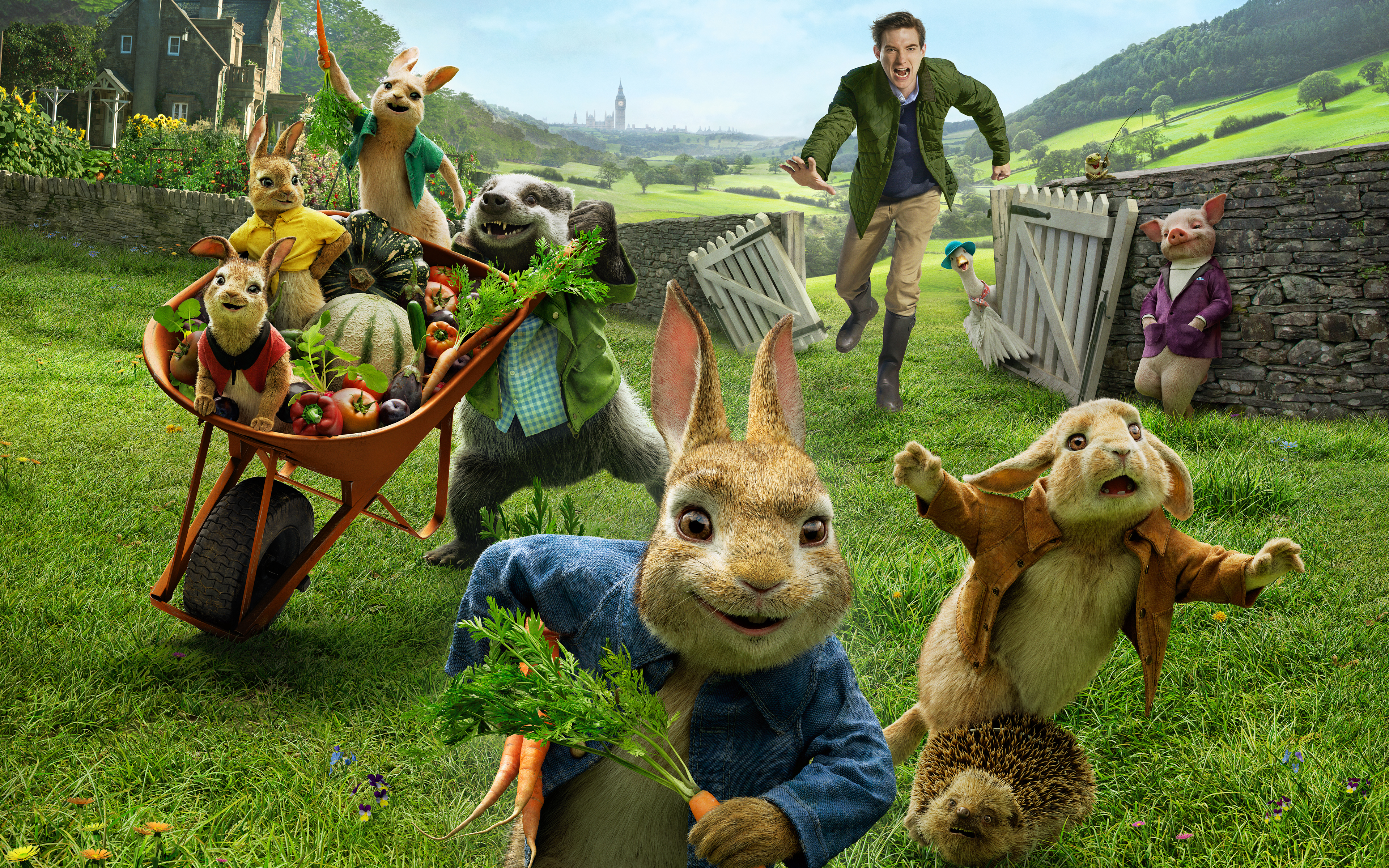 Peter Rabbit 2018 5K795299851